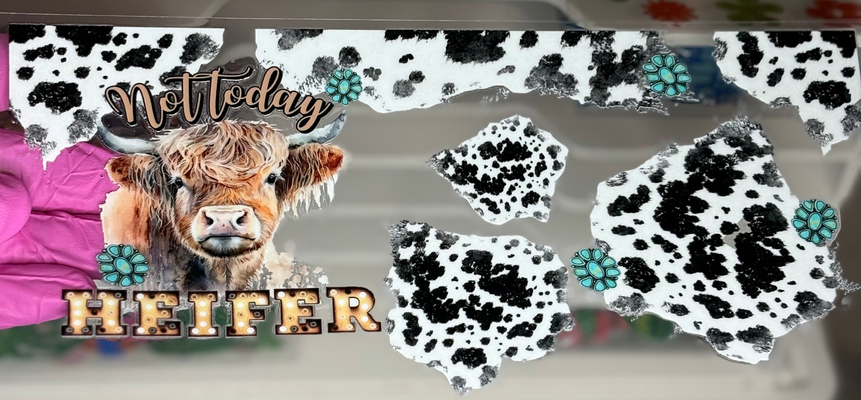 Not Today Heifer
